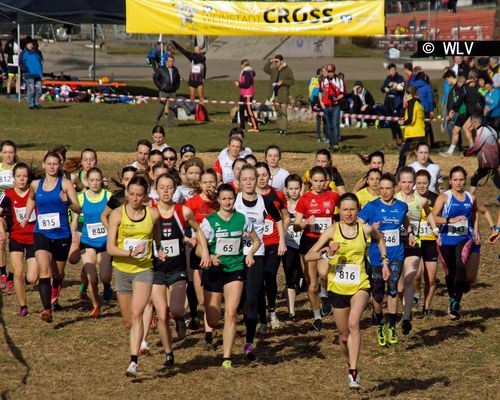 Baden-Württembergische Crosslauf-Meisterschaften am 15. Februar 2020 in Weinstadt